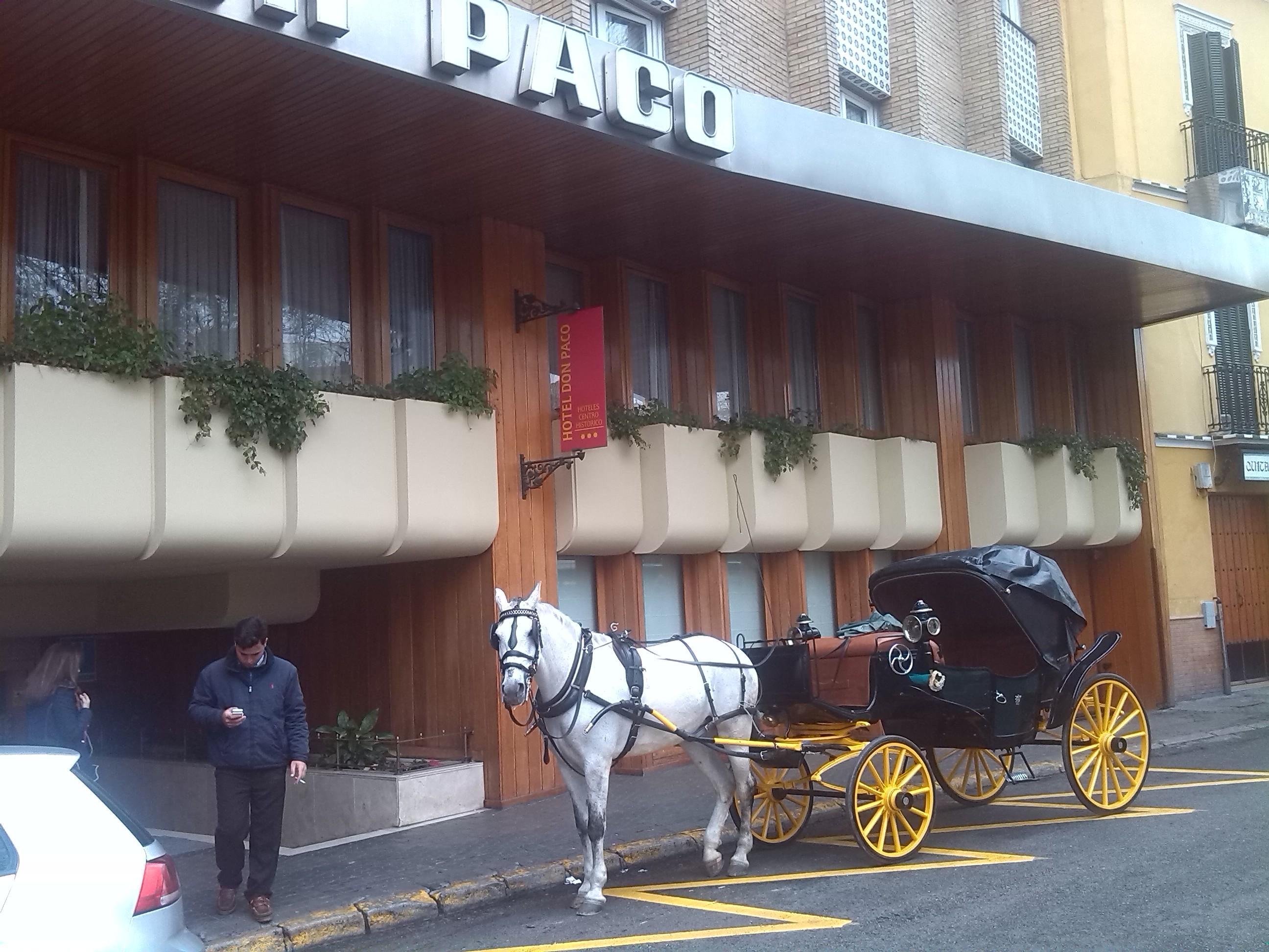 Hotel Don Paco Sevilla Exteriér fotografie